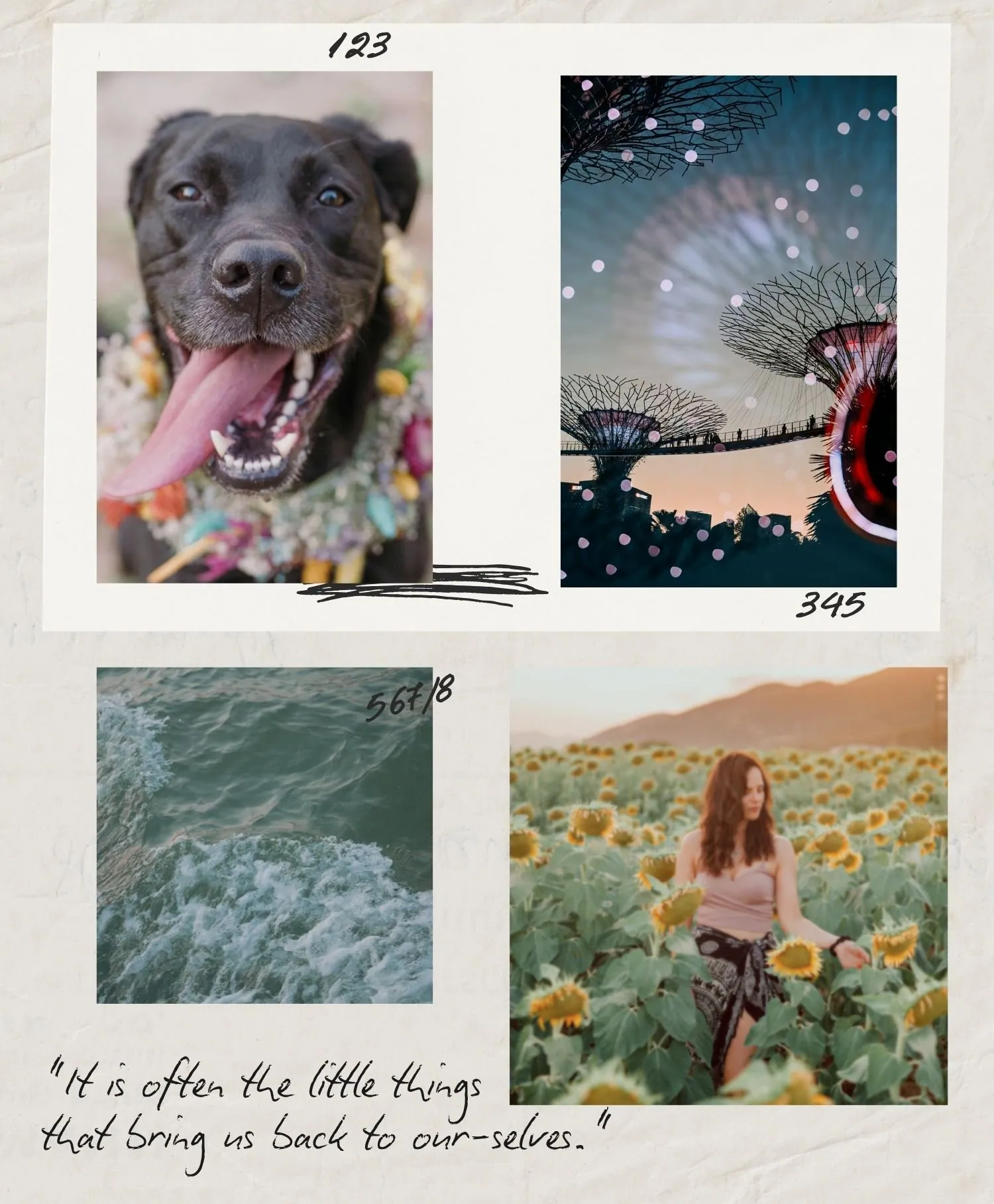 Stories, beauty and adventure
