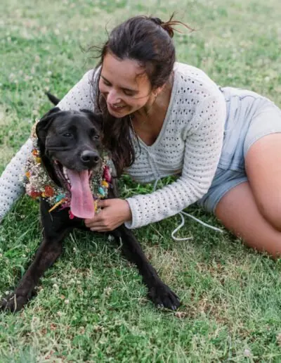 Shelter dog