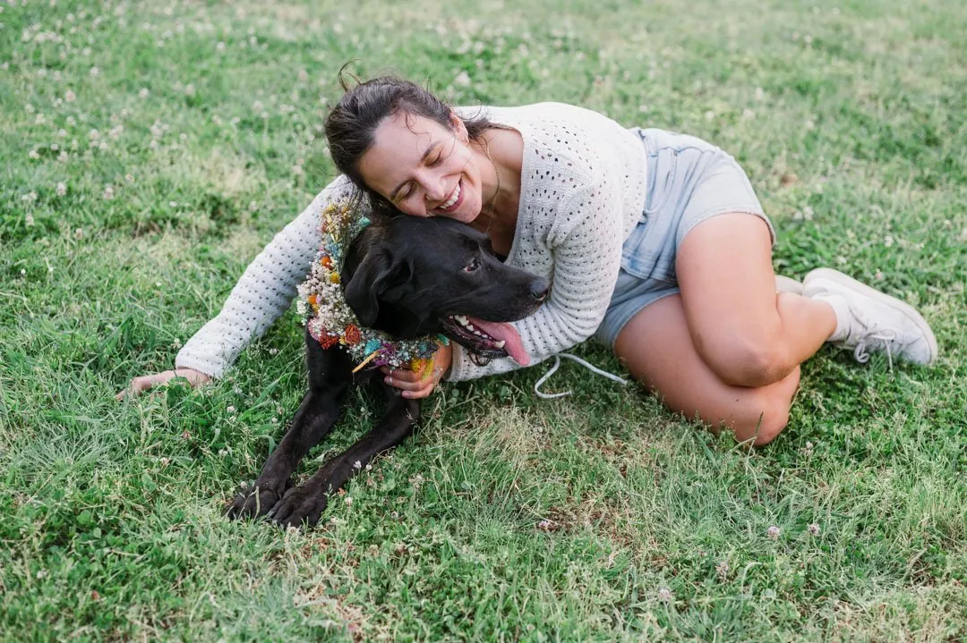 Shelter dogs