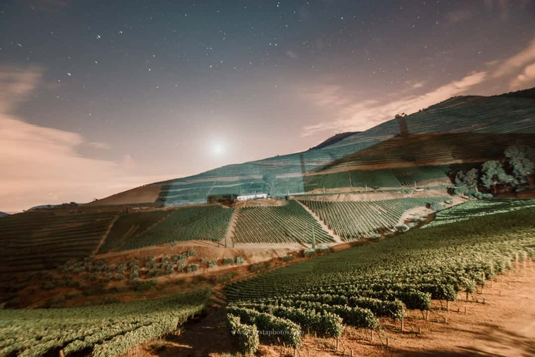 Quinta do Crasto intimate wedding venue with vineyard views and romantic dinner overlooking the Douro Valley